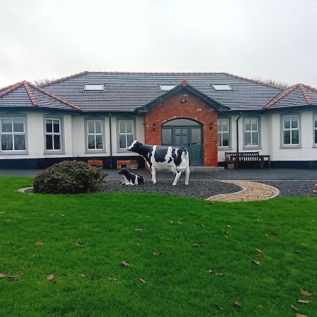Creeghduff Lodge Downpatrick Dış mekan fotoğraf