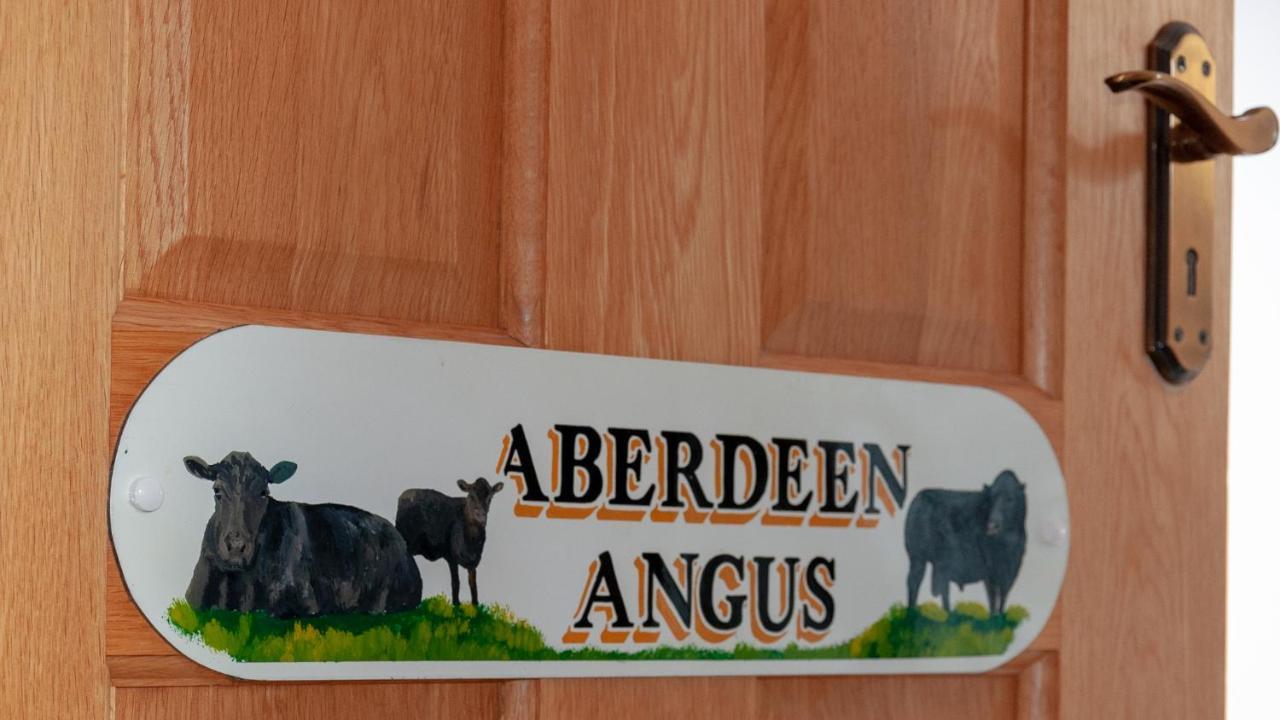 Creeghduff Lodge Downpatrick Dış mekan fotoğraf