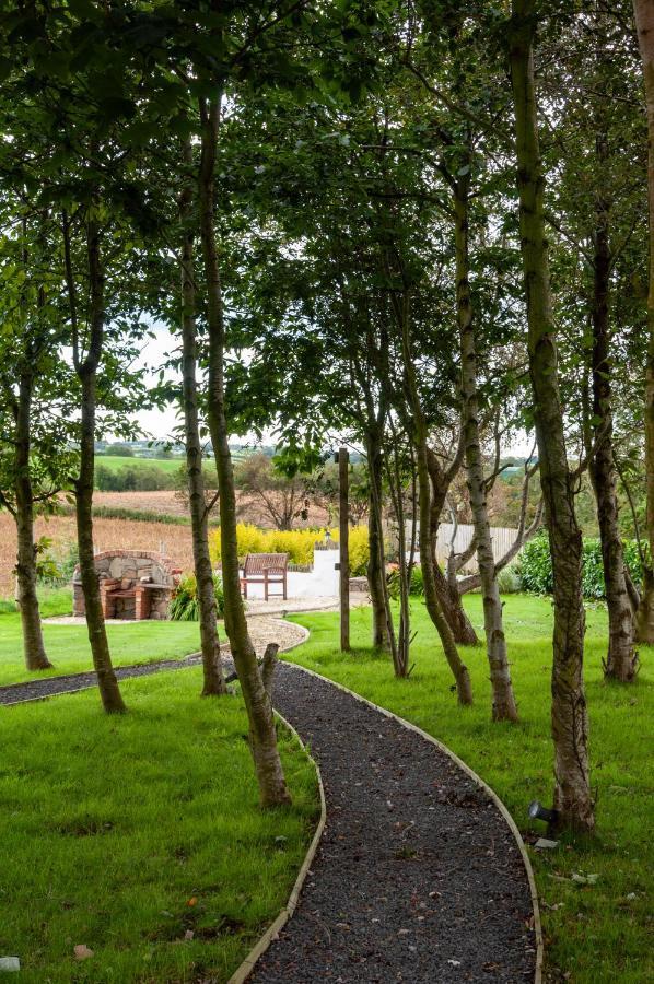 Creeghduff Lodge Downpatrick Dış mekan fotoğraf