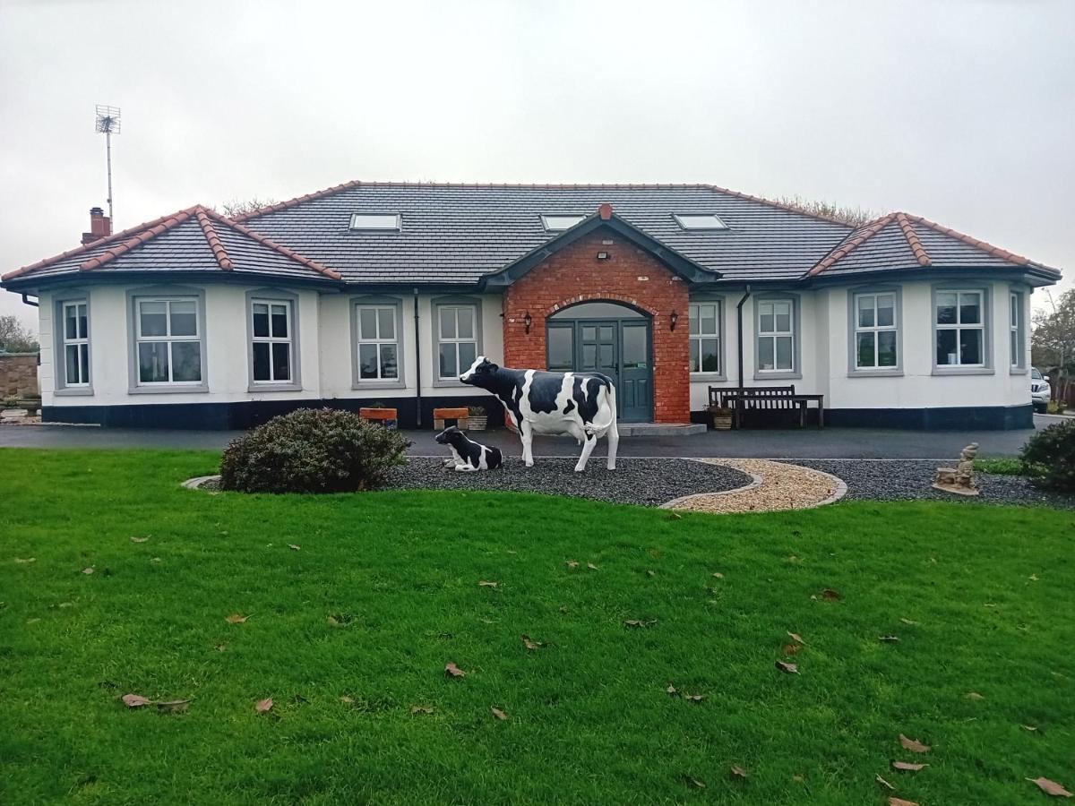 Creeghduff Lodge Downpatrick Dış mekan fotoğraf
