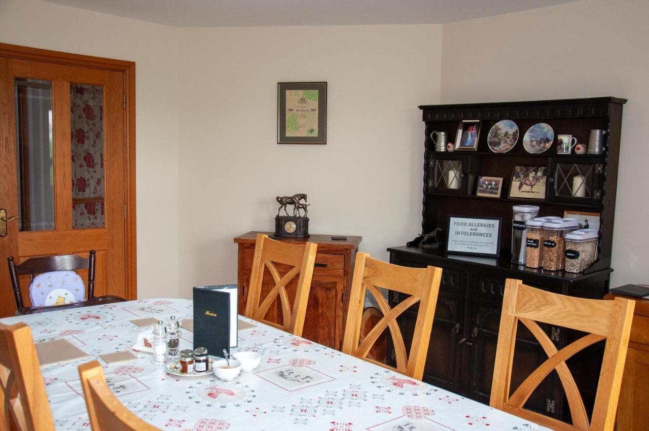 Creeghduff Lodge Downpatrick Dış mekan fotoğraf